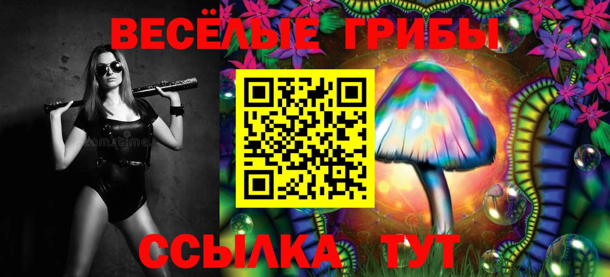 Галлюциногенные грибы прущие грибы  Вход с VPN  Чернушка 